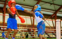 weekly-training-programme-for-boxers-starts-on-march-31