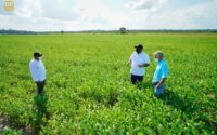 farmlands-guyana-inc-to-start-cultivation-of-corn,-soya-beans