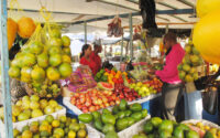 no-ban-on-produce-from-suriname-but-guyana-will-guard-against-pests,-diseases-–-agri.-minister