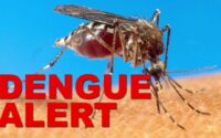 dengue-cases-on-the-decline-–-health-minister