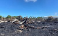 lumberyard-owner-loses-over-$60m-in-brush-fire
