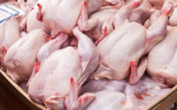 agriculture-ministry-slams-false-accusation-of-chicken-smuggling-by-opposition
