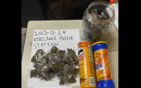 buxton-man-arrested-with-119-grams-of-marijuana