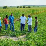 Guyana can produce enough corn, soya for livestock industry in two years – Mustapha