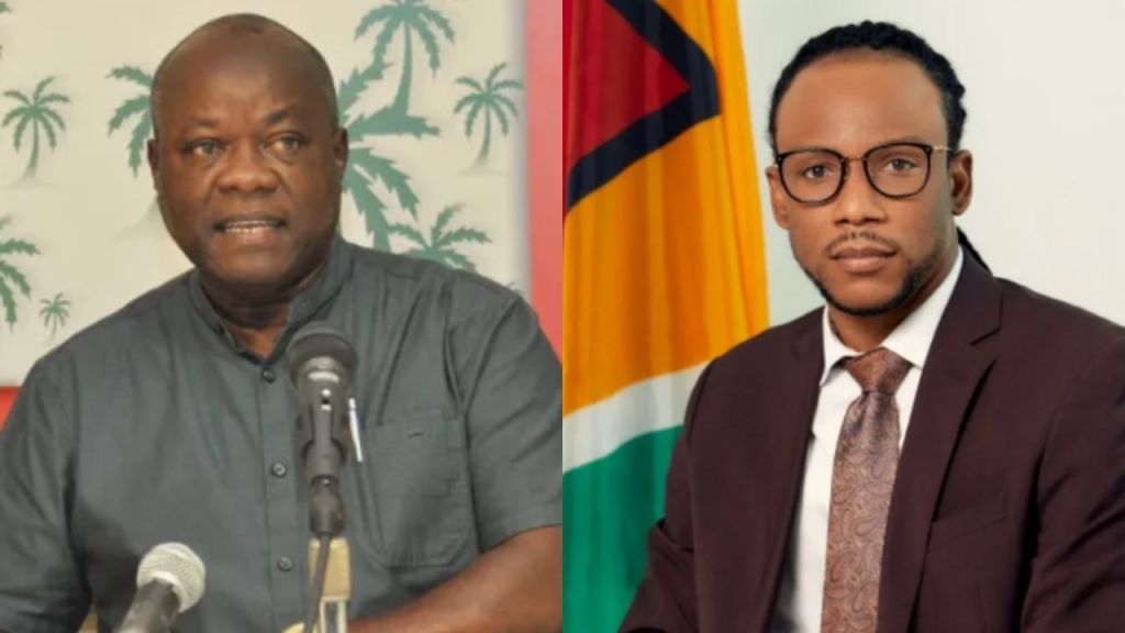 Norton removes Figueira from shadow cabinet