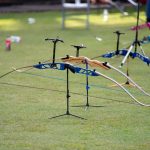 Olympic Solidarity Archery Coaching Course to be hosted in Guyana