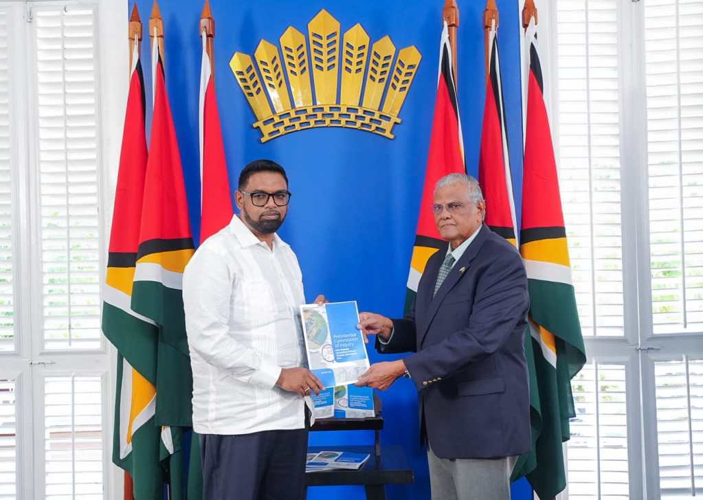 ‘Tough love needed’ – President Ali says after receiving Mahdia COI report