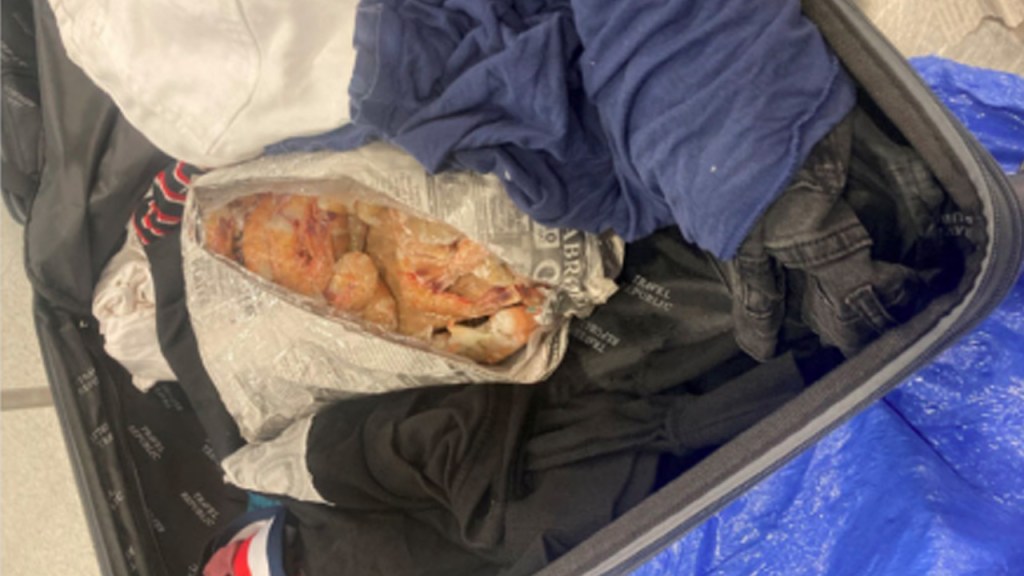 US-based Guyanese man arrested with cocaine in shrimp at JFK Airport