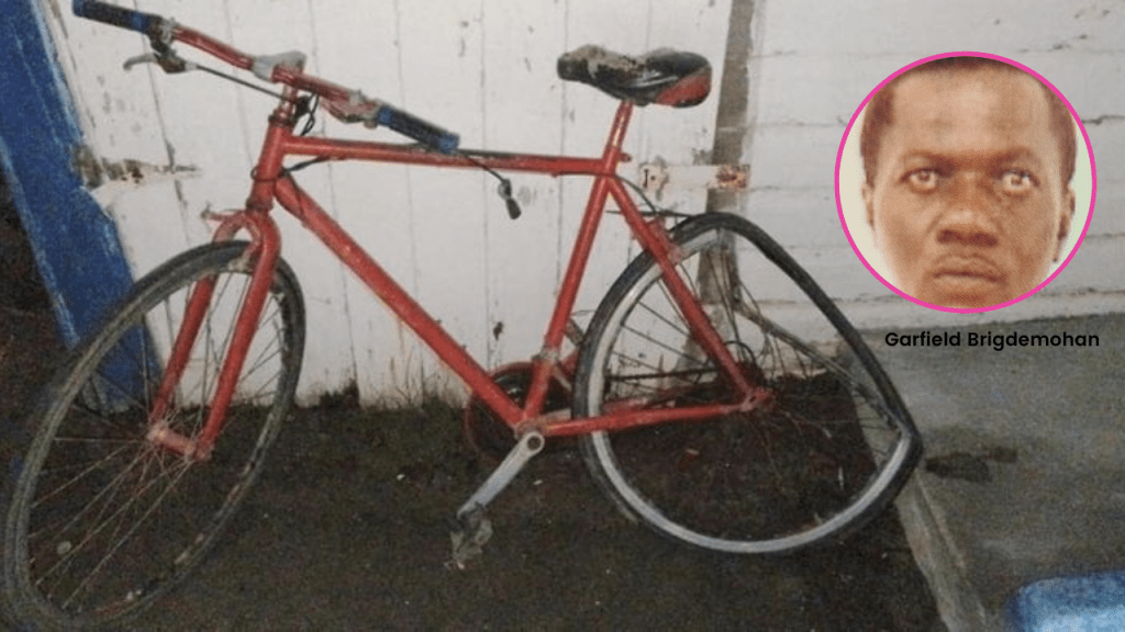 UPDATE: Driver, 71, in custody after fatally hitting Queenstown cyclist