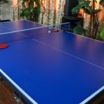 Table Tennis Association hails budgetary allocation ‘a step in the right direction’ for sport