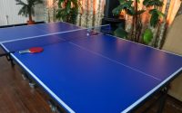 table-tennis-association-hails-budgetary-allocation-‘a-step-in-the-right-direction’-for-sport