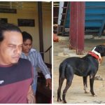 Dog owner charged with manslaughter after pit bulls attack, kill intoxicated man