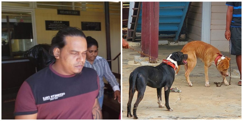 Dog owner charged with manslaughter after pit bulls attack, kill intoxicated man