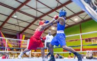 olympic-aspiring-boxers-to-compete-in-developmental-championship-from-friday