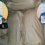 Berbice duo busted packing $23M in ganja into car