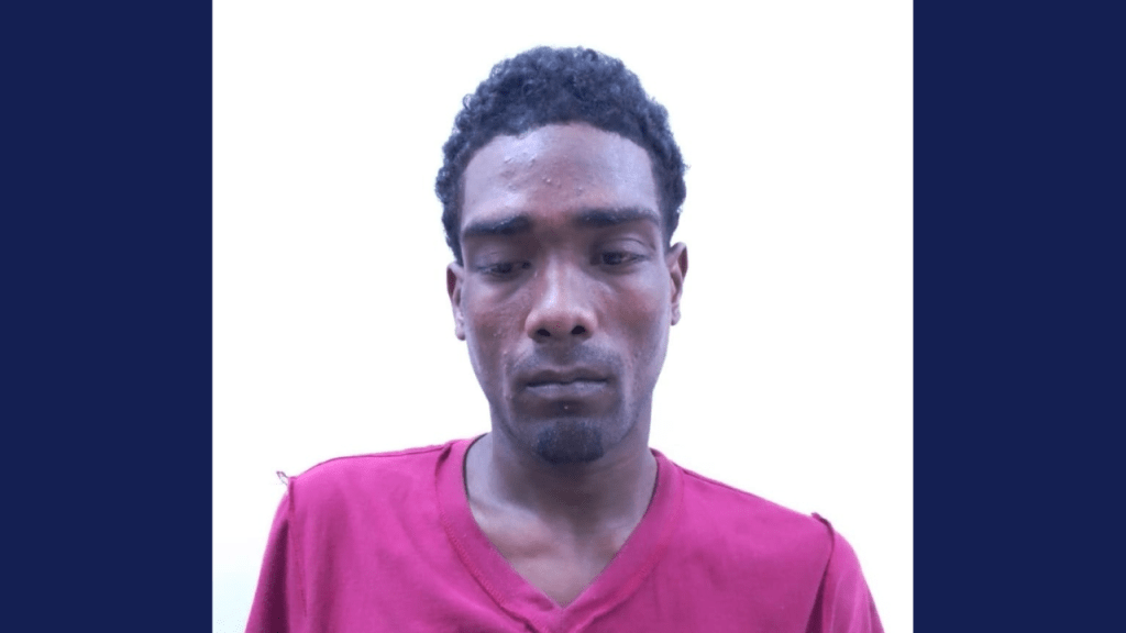 Wanted man shot by Police