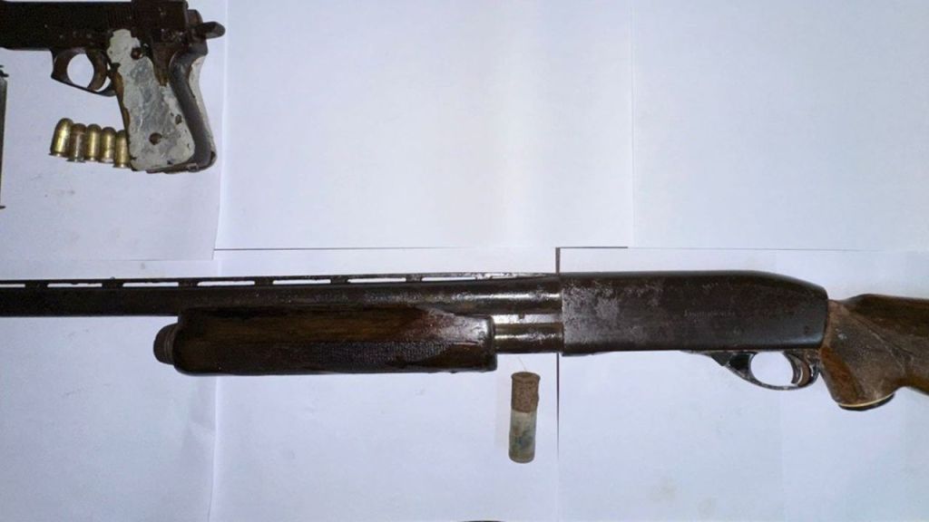 Marijuana, guns & ammo found by CANU officers during operation at Agricola