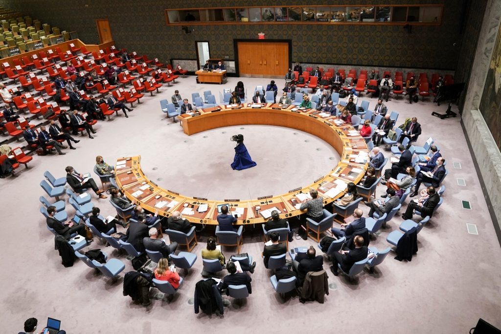 Africa, small states need better representation on UN Security Council – Amb. Rodrigues-Birkett