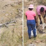Human remains found near BOSAI compound