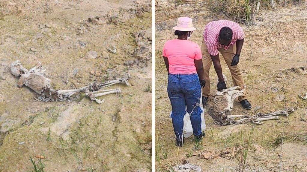 Human remains found near BOSAI compound