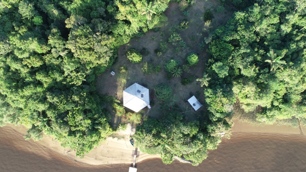 ‘Really impressive’ Guyana can soon be licensed under FLEGT