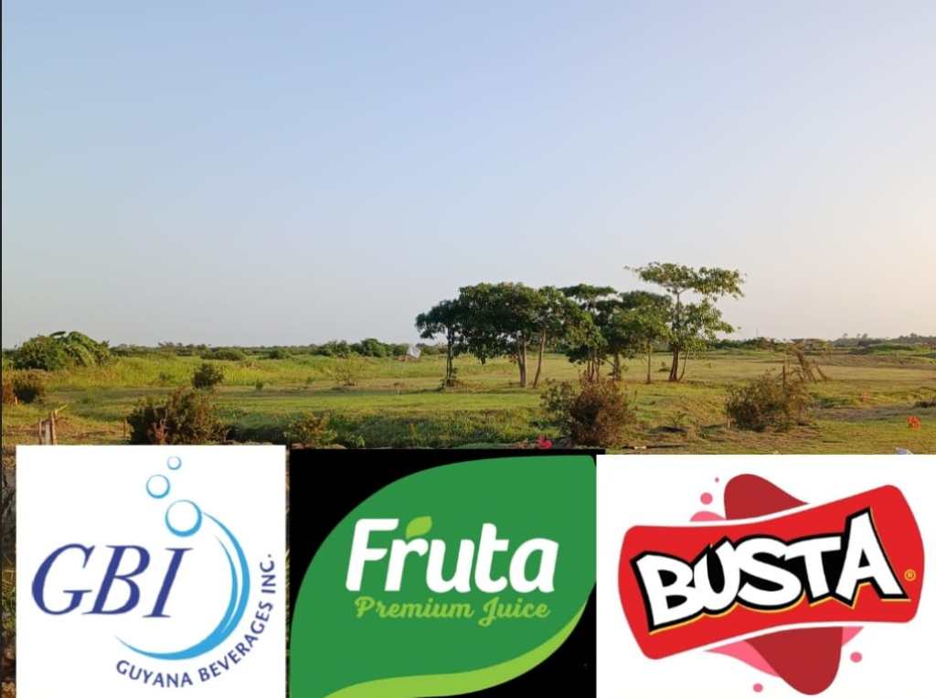Guyana Beverages Inc., Guyana Golf Association enter major marketing agreement
