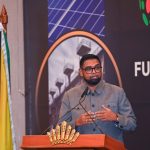 Deepwater port at NA, aluminium plant part of ‘game changing’ plans with gas – President Ali