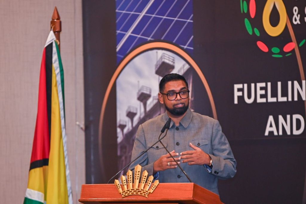 Deepwater port at NA, aluminium plant part of ‘game changing’ plans with gas – President Ali