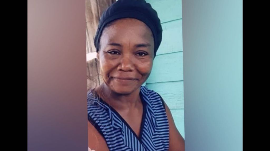 Sophia woman who suffers from seizures missing since Valentine’s Day
