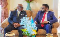 ‘real-opportunities’-exist-to-expand-trade,-relationship-with-st-lucia-–-pres.-ali