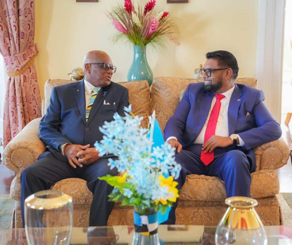 ‘Real opportunities’ exist to expand trade, relationship with St. Lucia – Pres. Ali