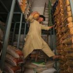 Entre Inde et Pakistan, la guerre du riz basmati