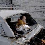 A Boutcha, deux ans dans la vie d’une famille ukrainienne