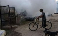 l’argentine-confrontee-a-une-explosion-du-nombre-de-cas-de-dengue