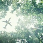 Happy with carbon credits sale to airlines, Guyana continues push for full compliance market