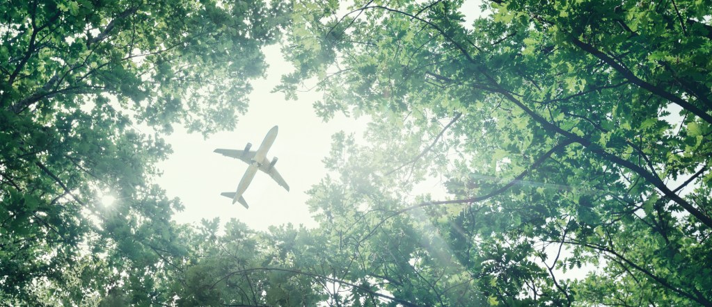Happy with carbon credits sale to airlines, Guyana continues push for full compliance market