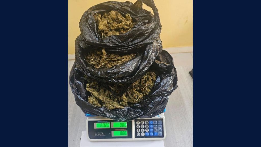 Police finds 2,020 grammes of cannabis at Mahdia Landing