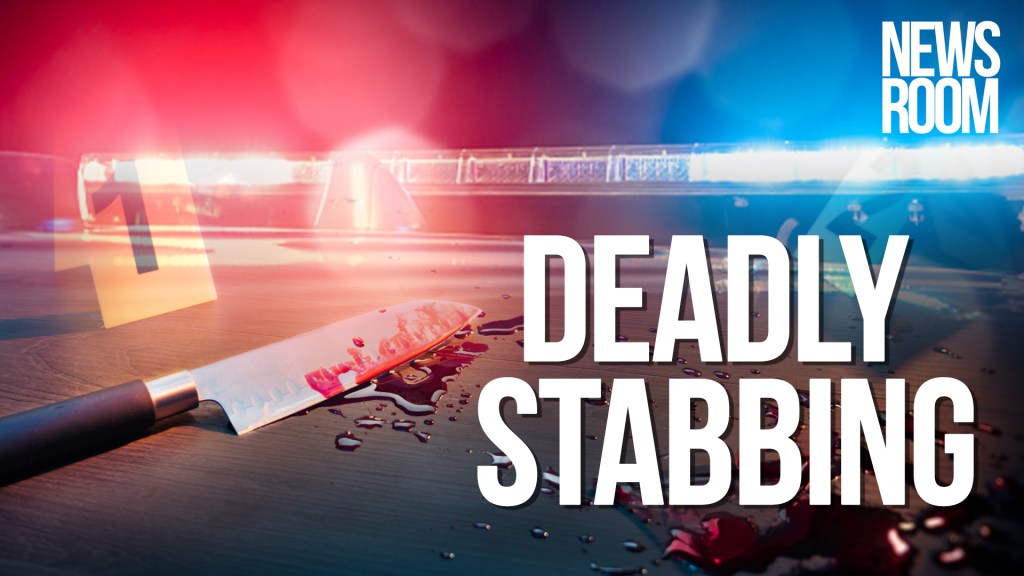 Parika housewife, 24, stabbed to death by husband