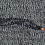 Après le naufrage du « Rubymar » en mer Rouge, une zone écologiquement sensible menacée de pollution majeure