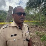 Skeletal remains found at Esplanade Park