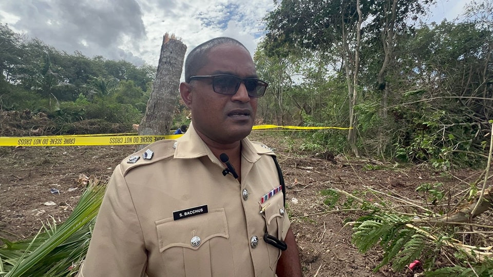 Skeletal remains found at Esplanade Park