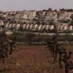 L’ONU considère que les colonies israéliennes relèvent du « crime de guerre »