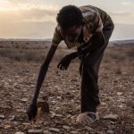Ethiopie : alerte à la famine cachée