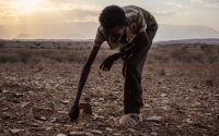 ethiopie :-alerte-a-la-famine-cachee