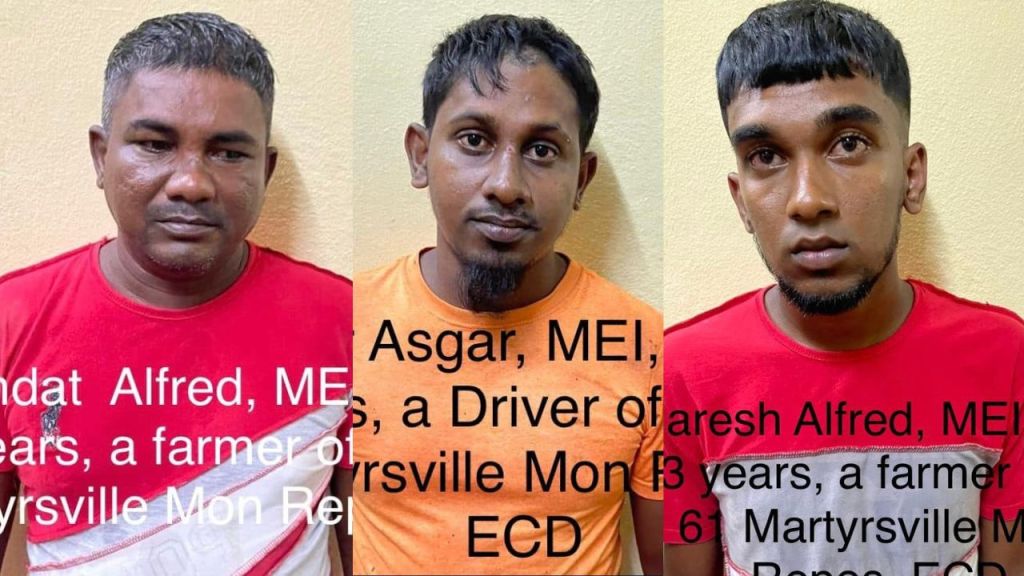 Two farmers, driver get bail on simple larceny charge