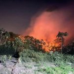 Man, 93, dies in North West wildfire