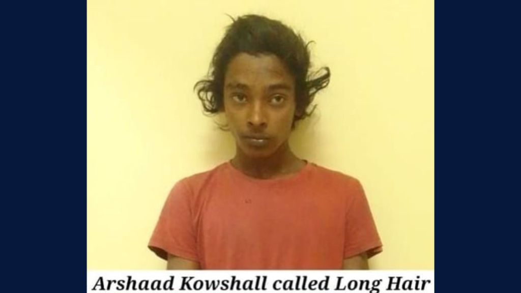 Teen accused of stealing from pensioner released on bail