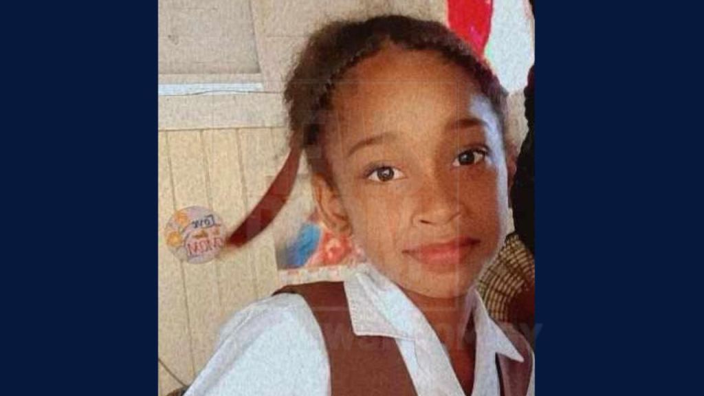 Schoolgirl, 9, dies after hit by intoxicated, speeding driver  
