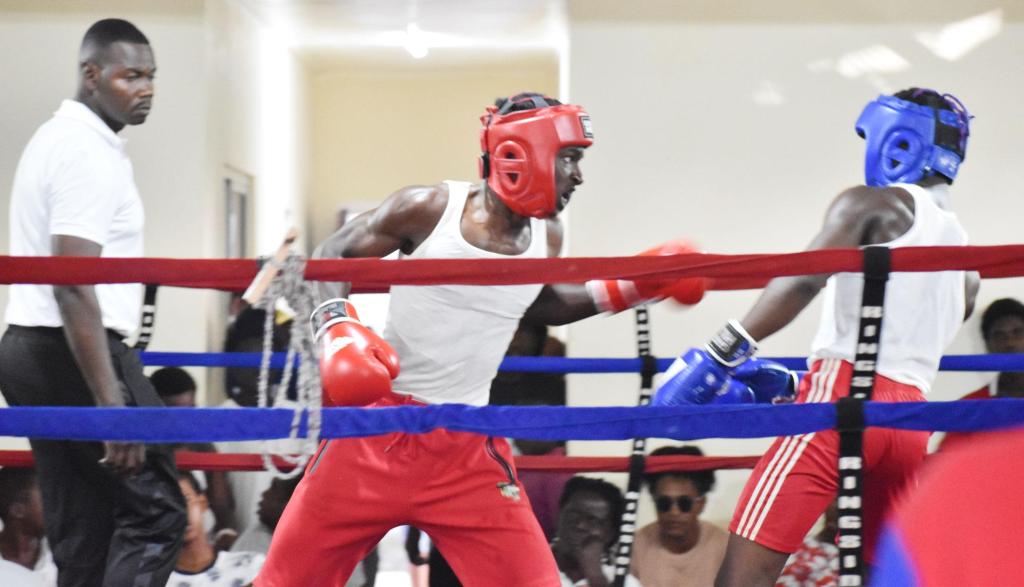 Pace and Power Gym stars at monthly schoolboy boxing tournament