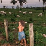 Au Brésil, la terre promise de l’Amazonie n’a pas tenu ses promesses auprès des paysans